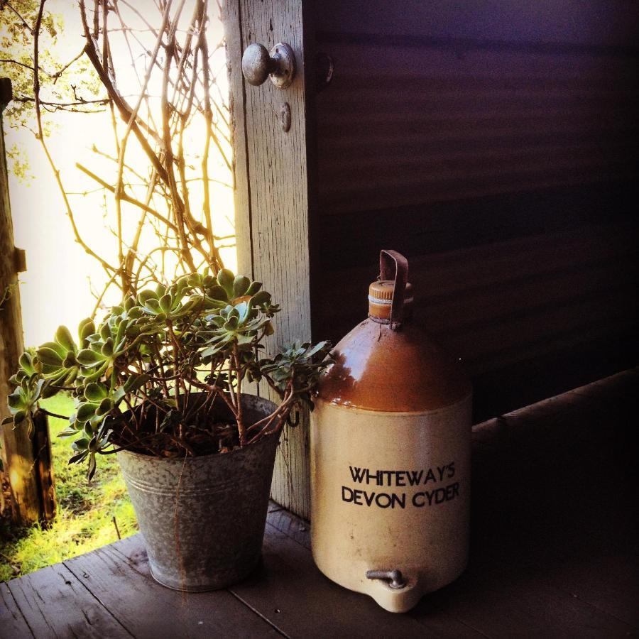 The Potters Garden B&B Rye Esterno foto