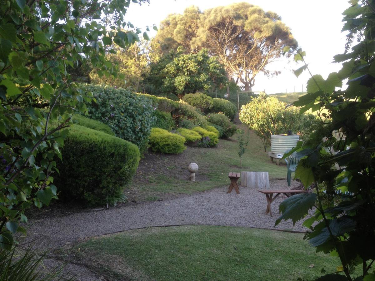 The Potters Garden B&B Rye Esterno foto